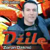 Zoran Dziknic Dzile - 100 Ljubavi (Serbian Music)